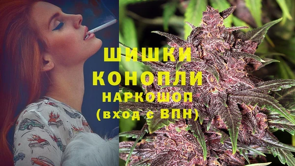 гидра Алексеевка