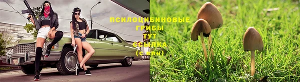 PSILOCYBIN Абинск